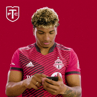 Major League Soccer No GIF by Toronto FC