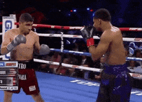 toprank fight boxing fighting espn GIF