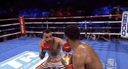 toprank fight boxing fighting espn GIF