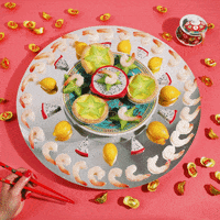 China Animation GIF by Phyllis Ma