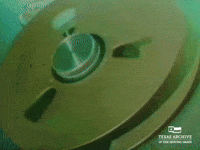Local News Film GIF by Texas Archive of the Moving Image
