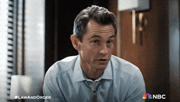 Episode 1 GIF by Law & Order