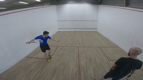 hop squash GIF
