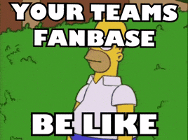 Be Like Nfl Teams GIF by Respective