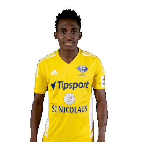 Football Soccer Sticker by Fortuna Liga