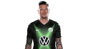 Daniel Ginczek Sticker Sticker by VfL Wolfsburg