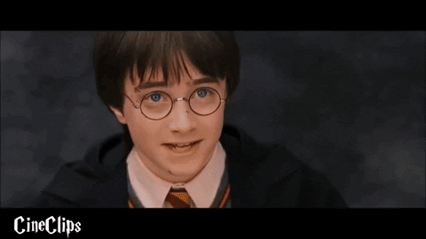 ak1813 giphygifmaker hp hagrid robbie coltrane GIF