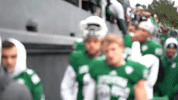 Eagles Football Emueagles GIF by EMU Athletics