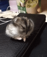 GIF by Digg