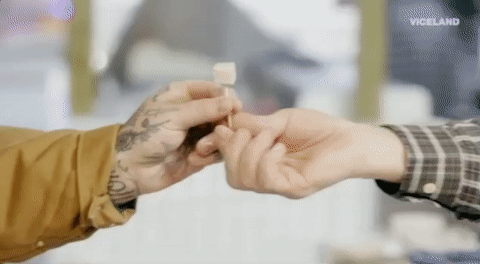 viceland GIF by Dead Set on Life