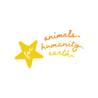 Cruelty Free Star Sticker