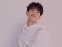 Dk 세븐틴 GIF
