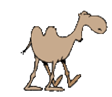camel STICKER