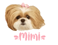 Dog Mimi Sticker
