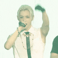 Stray Kids Skz GIF