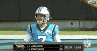 Carolina Panthers Football GIF by NFL