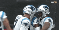 Carolina Panthers Football GIF by NFL