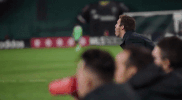 soccer dc GIF by D.C. United