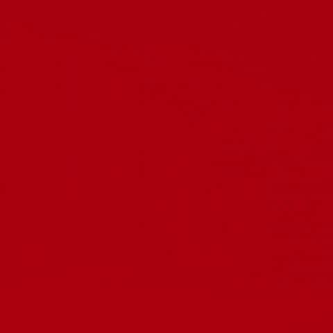 theperiodplacenz  GIF