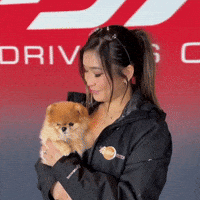 Pomeranian Sro GIF