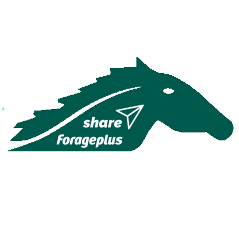 Horse Share Sticker by Forageplus