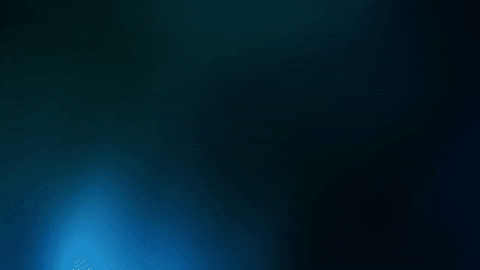 Water Bubbles GIF by SwitchMedia