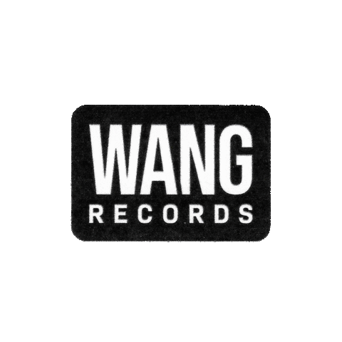 Wangrecords Sticker by Beastwang