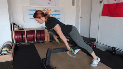 megsquats giphyupload GIF