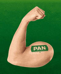 Zlatni Pan GIF by Pan pivo