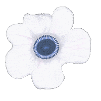 Flower Spring Sticker