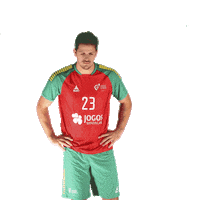 Ehfeuro2020 Sticker by Federação de Andebol de Portugal