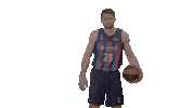 Liga Endesa Basketball Sticker by ACB