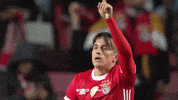 Pointing Up Sl Benfica GIF by Sport Lisboa e Benfica