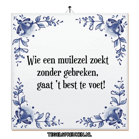 Humor Wijsheid Sticker by Tegelspreuken.nl