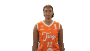 Basketball Sticker by Tango Bourges Basket