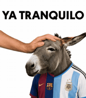 Argentina Calm Down GIF