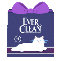 evercleankr everclean 에버크린 evercleankr Sticker