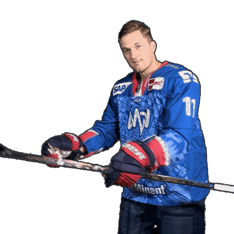 Reichel Sticker by Adler Mannheim