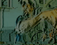 nicolaslalonde glitch vhs patch lzx GIF