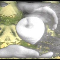 Vhs Videosynth GIF