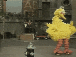 Sesame Street Vintage GIF