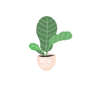 braidedbranch love new green plants Sticker