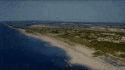 Palestine Gifsforants GIF
