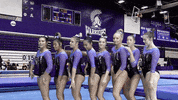 Warriors Gymnastics GIF by WinonaStateATH
