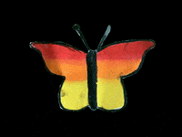 Vlinderfleur7B GIF by Beam it Up