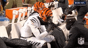 Cincinnati Bengals Football GIF by NFL