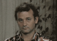 Saturday Night Live Reaction GIF