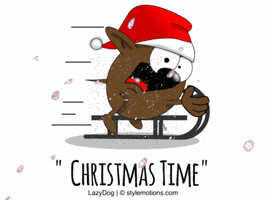 Christmas Time GIF by stylemotions