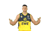 Ewe Baskets Basketball Sticker by EWE Baskets Oldenburg