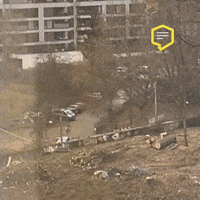Police Omg GIF by Linz News